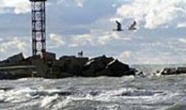 Diagnozė: eutrofikacija, dėl kurios "žydi" vanduo 