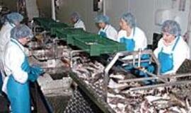 Problema - ne kam naudojami brėtlingiai, o kad jie neišgaudomi 