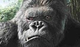 "Svajojau sukurti filmą apie beždžionę su auksine širdimi" 