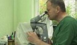 Chaosas ritualinių paslaugų rinkoje - būdas pasipelnyti 