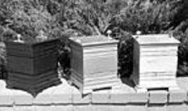 Laidojimo būdų naujoves stabdo biurokratija 