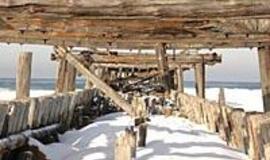 Dar vienas uraganas - ir nebeliks Šventosios kopų