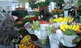 Moters diena - moterų rūpestis 