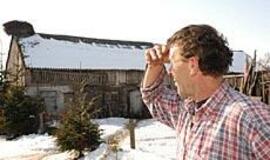 Paukščių gripas gandralizdžių nesunaikins 