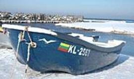 Apie kompensacijas, Šventosios uostą ir marių žvejus 