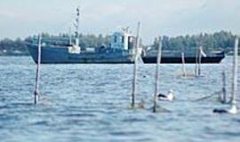 Lietuvos Kuršmarės - balta dėmė elektroniniuose jūrlapiuose 