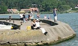 Neringoje steigiama "Disko Respublika" 