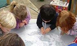 Vaikų populiarumo arba nepopuliarumo priežastys (2)