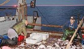 Baltijos jūros žvejai sunerimo dėl dujų vamzdžio 