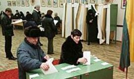 Tiesioginiams merų rinkimams - špyga taukuota 