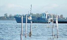 Žvejai įžvelgia inspektorių ir brakonierių tandemą 