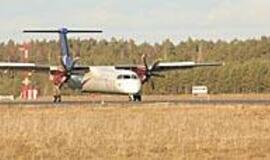 Kylantiems lėktuvams - medžių siena 