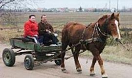 Petrelių kaimas - gedulo įšale