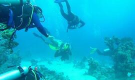 Vandenyno bedugnės šauksmas 