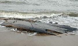 Mokslininkai suka galvas, kaip išsaugoti jūros dovaną 