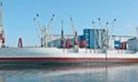 "Capella" - ryškiausia žvaigždyno žvaigždė 