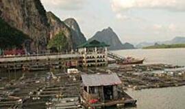 Tailandas: žiedų girliandos ir drambliai miesto gatvėse