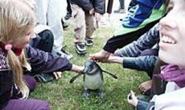 Ilgasis savaitgalis Klaipėdos muziejuose 