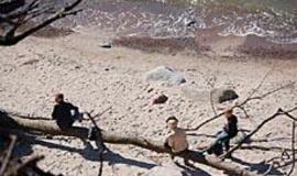 Karklės paplūdimiai: laukiniai ar modernūs? 