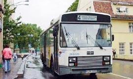 Klaipėdiečiai bijo pereiti gatvę 