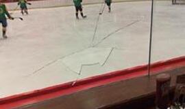 Lankytojus gąsdina ledo ritulys