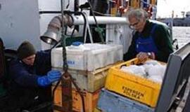 Ministerija pozicijos nekeičia 