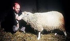 Tobulesnio žmogaus projektas: ar gyvensime amžinai? 