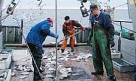 ES kovos su neteisėta žvejyba