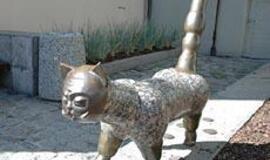 Senamiesčio katinas turi brolį dvynį