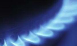 Šilumininkai: kaina - dujininkų nuopelnas