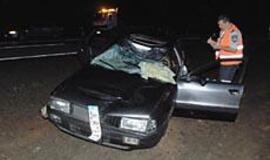 Gyvūnai keliuose: žuvo dar vienas žmogus