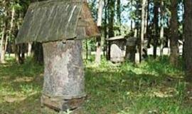 Vilkynės istorijos VI: gyvenimas tarp vabzdžių 