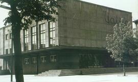 Kino lopšys pavirto kino provincija