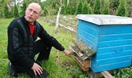 Girininkai: kylančios trobos ir medaus kupini aviliai  