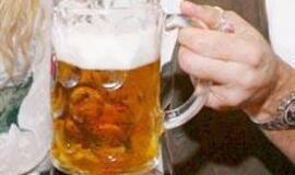 Alumi rinkėjus vaišinęs valstietis liaudininkas - papirkinėtojas