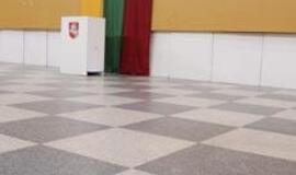 Z. Vaigauskas: rinkimai vyko sklandžiai