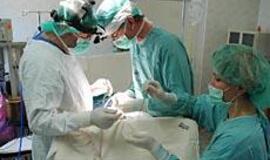 Skandinavai išsiveš mūsų medikus 