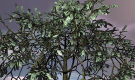 Kaip išlikti viršuje pinigų krizės metu?