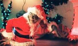 Kas pavogė Kalėdų stebuklą?