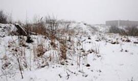 Ko trūksta, kad būtų tvarka?