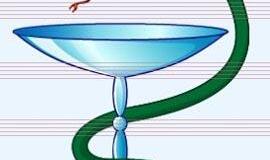 Kas uostamiestyje sveikiausias?