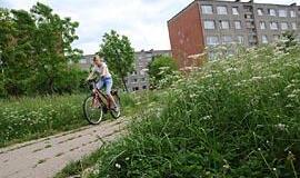 Klaipėda virsta džiunglėmis