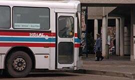 Kalti ne vien "zuikiai"