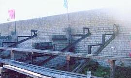 Varžybas žiūrim sėdėdami ant žemės