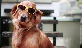 Akiniams nuo saulės - nauji ženklinimo reikalavimai