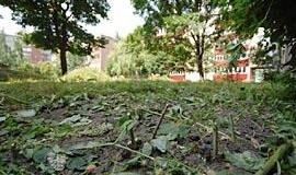 Darbo pasiilgę šienpjoviai persistengė 