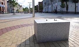 Klaipėdietis grįš iki "Europiados"