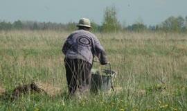 Lietuvoje apleistos žemės kasmet galėtų atnešti papildomai apie 1,35 mlrd. litų pajamų