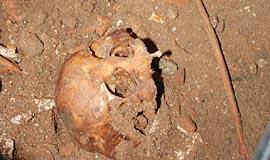 Gargžduose - unikalus radinys