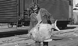 Kaip radosi Jūrų muziejus: eksponatų "žvejyba" (4)